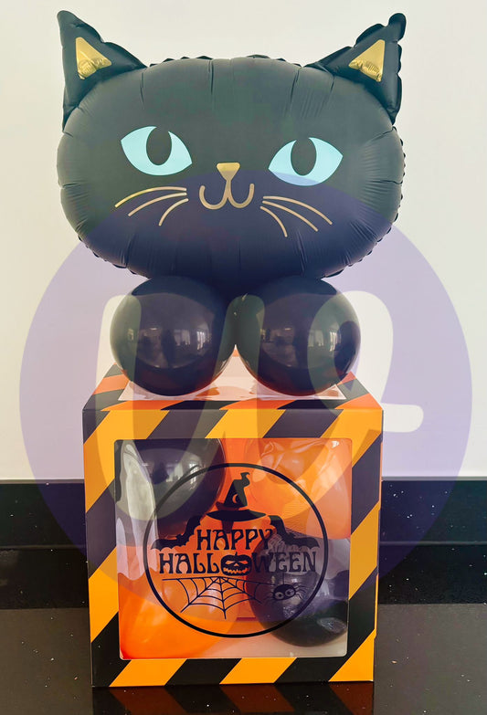 Halloween cat balloon box kit